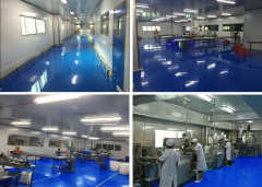 法务专员在网络信息技术服务中的角色与职责